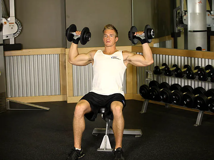Seated Dumbbell Shoulder Press