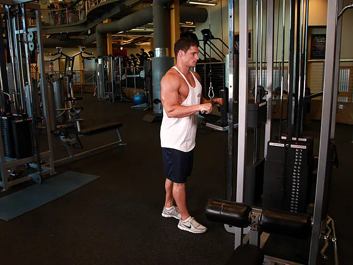 Triceps Pushdown: starting position