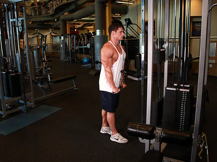Triceps Pushdown: end position