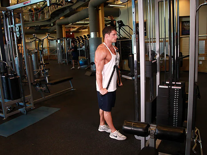 Rope Triceps Pushdown